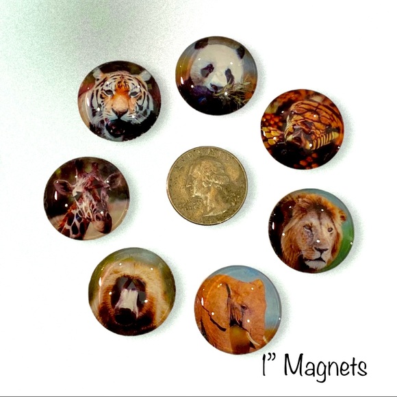 Hand Crafted Other - Set/7 𝑯𝒂𝒏𝒅𝒎𝒂𝒅𝒆 Wild Animals Magnets Cabochons Gift!